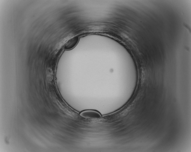 X0000102871449200809081154