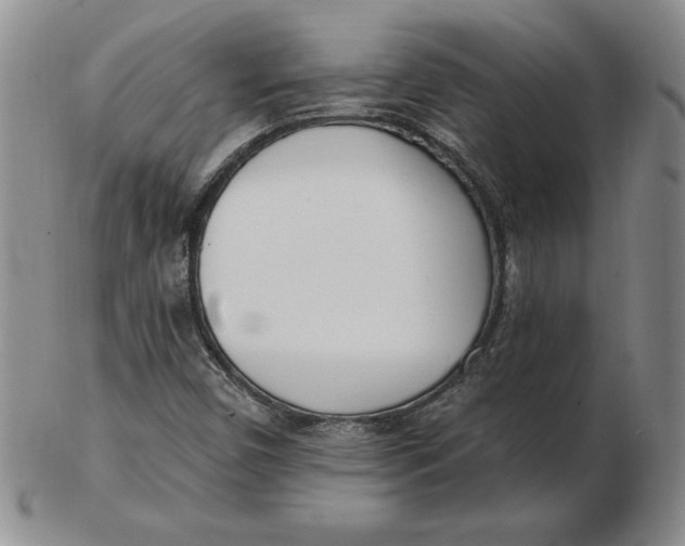 X0000102871450200809081154