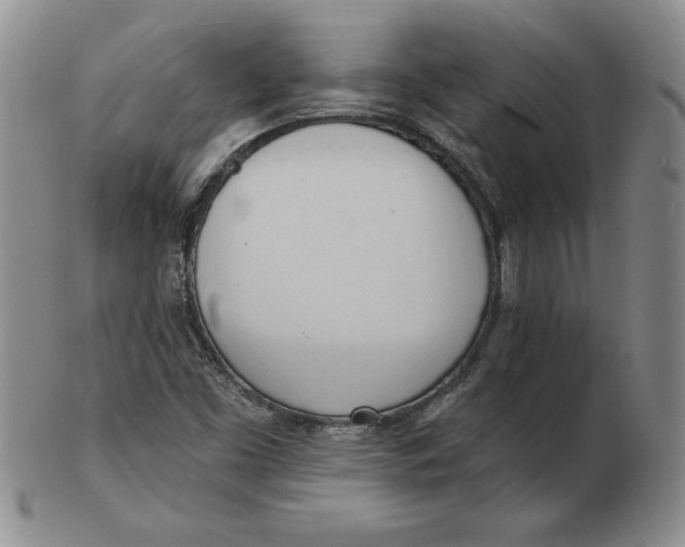 X0000102871453200809081154