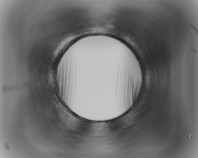 X0000102871454200809081154