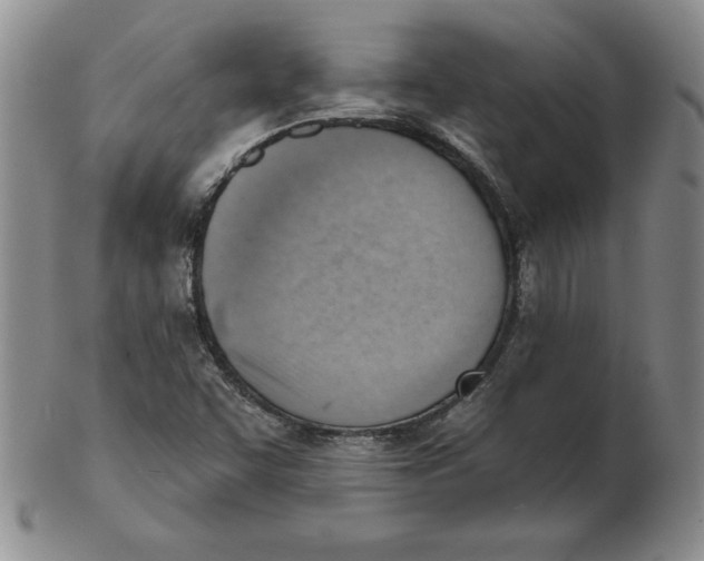 X0000102871455200809081154