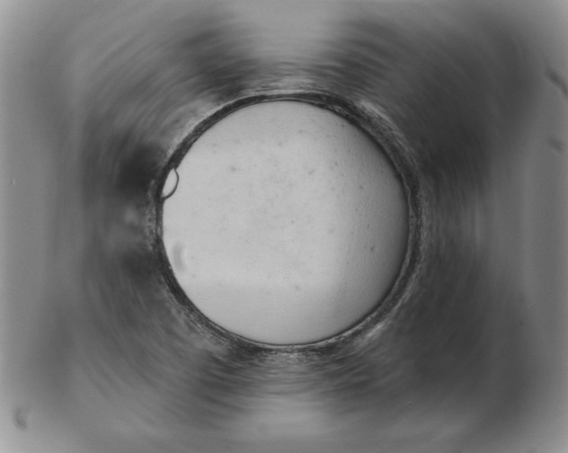 X0000102871457200809081154