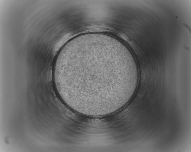 X0000102871459200809081154