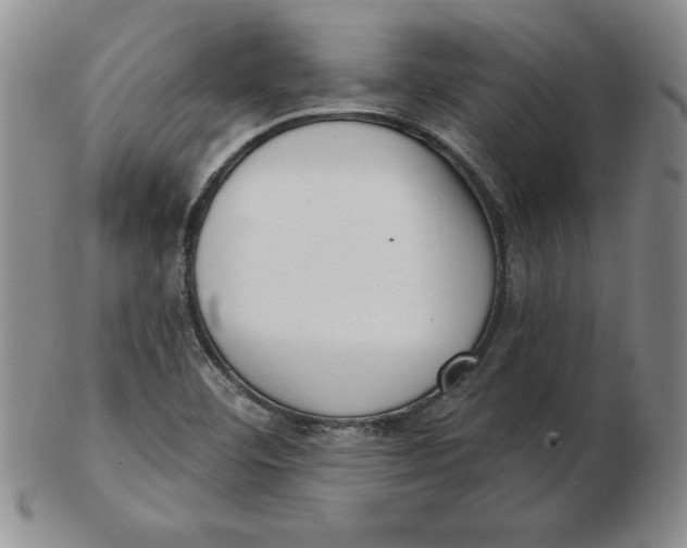 X0000102871460200809081154