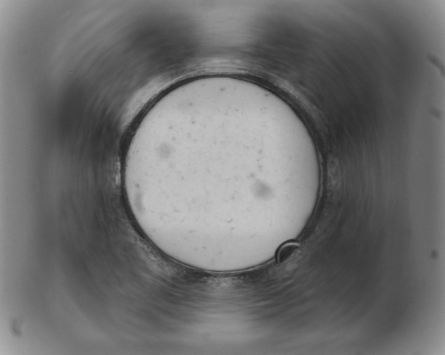 X0000102871461200809081154