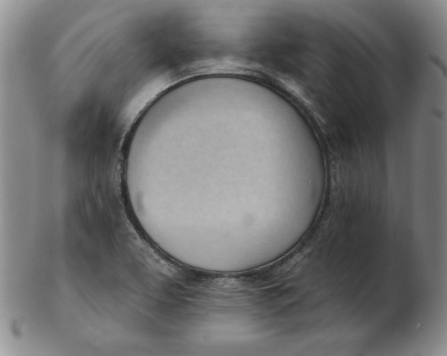 X0000102871463200809081154