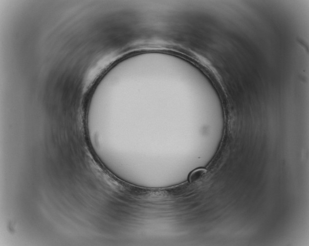 X0000102871464200809081154