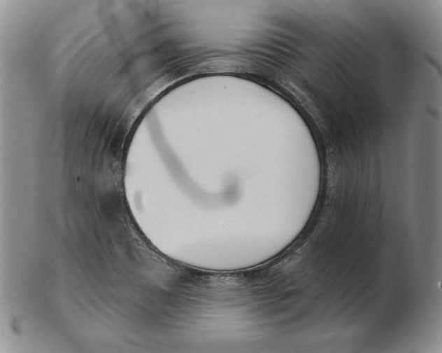 X0000102871465200809081154