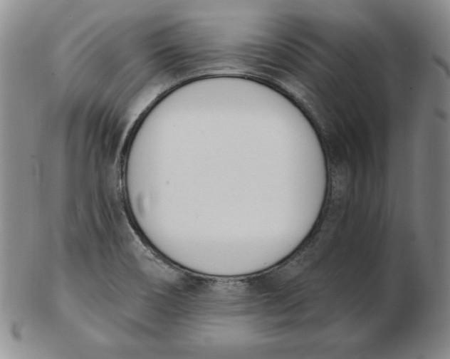 X0000102871466200809081154