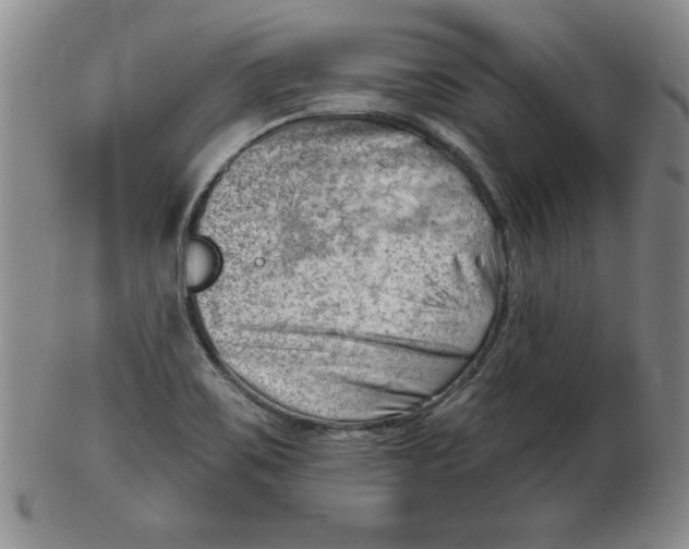 X0000102871467200809081154