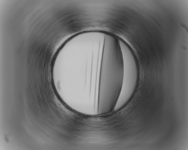 X0000102871468200809081154