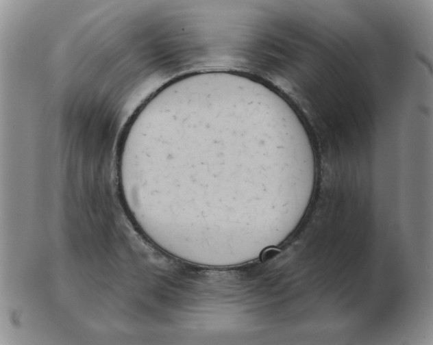 X0000102871469200809081154