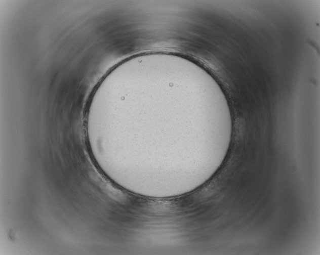 X0000102871470200809081154