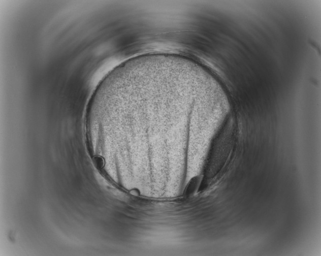 X0000102871471200809081154