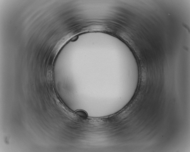 X0000102871473200809081154