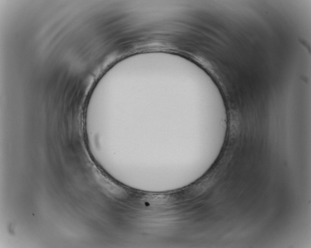 X0000102871474200809081154