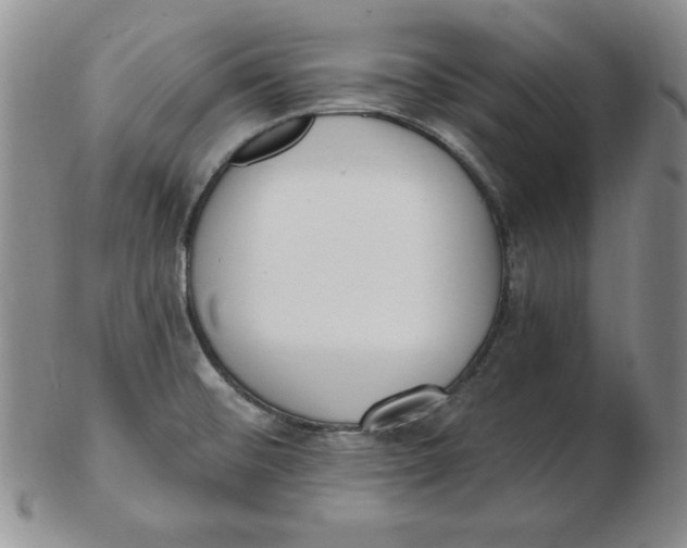 X0000102871476200809081154