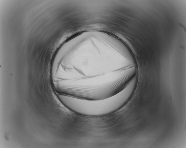 X0000102871477200809081154