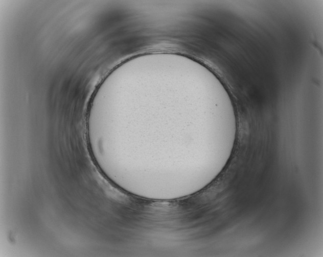 X0000102871478200809081154