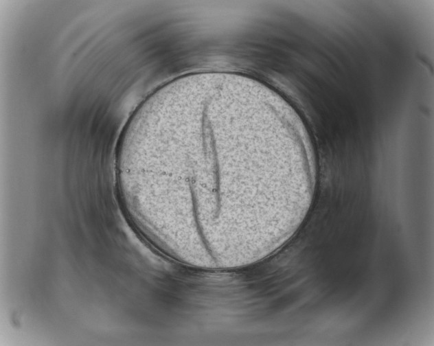 X0000102871479200809081154