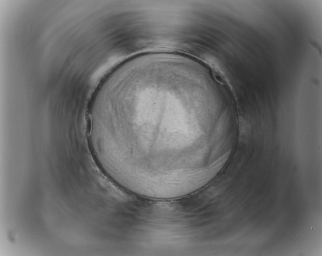 X0000102871480200809081154