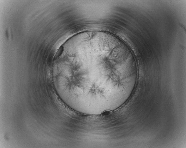 X0000102871481200809081154