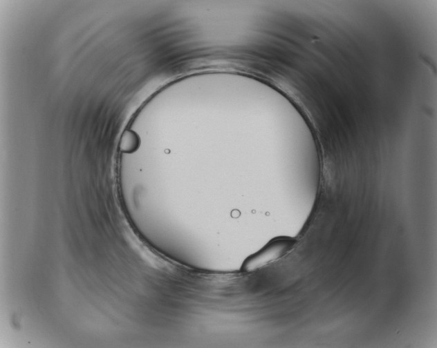 X0000102871482200809081154