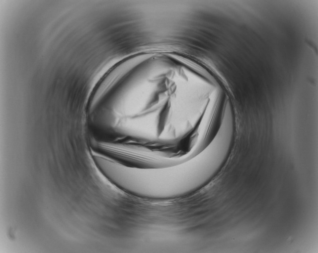 X0000102871484200809081154