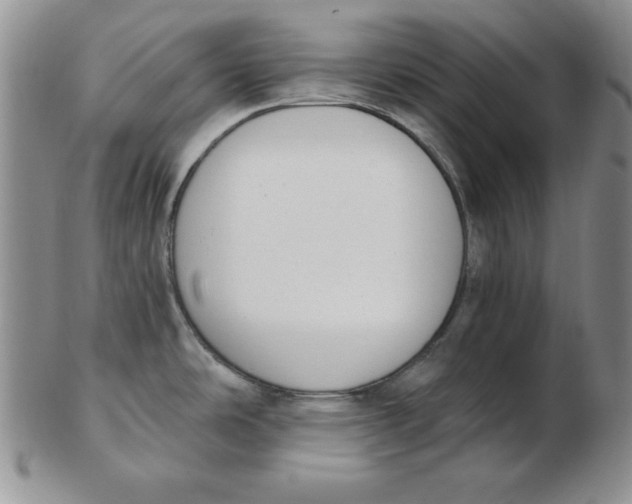 X0000102871486200809081154