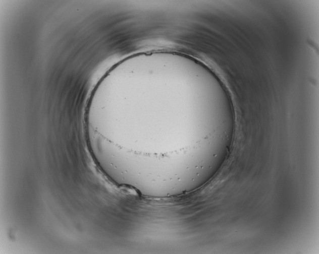 X0000102871488200809081154