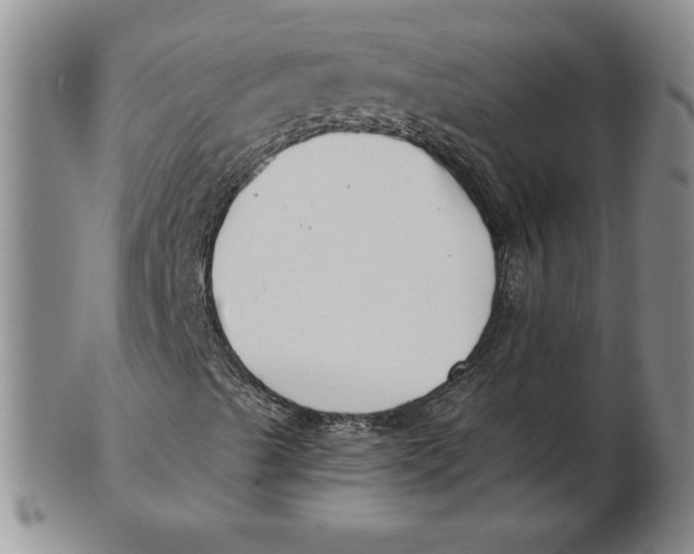 X0000102871489200809081153