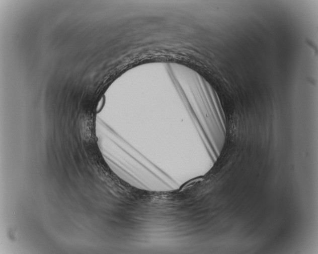 X0000102871490200809081153