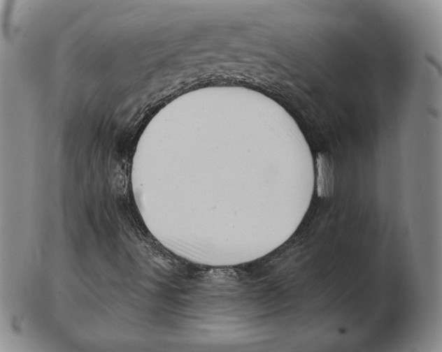 X0000102871491200809081153