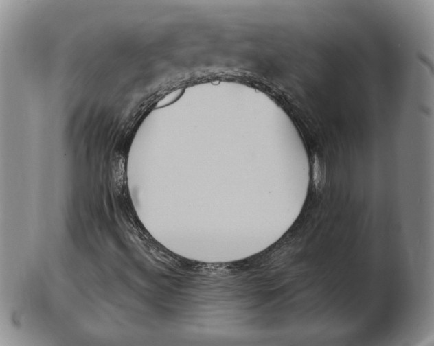 X0000102871492200809081153