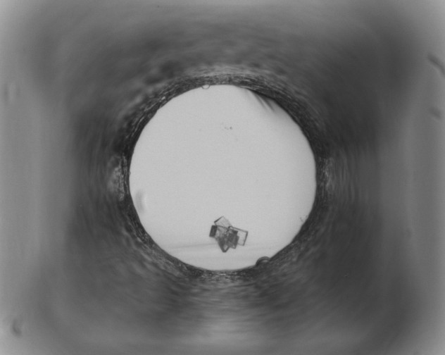 X0000102871493200809081153