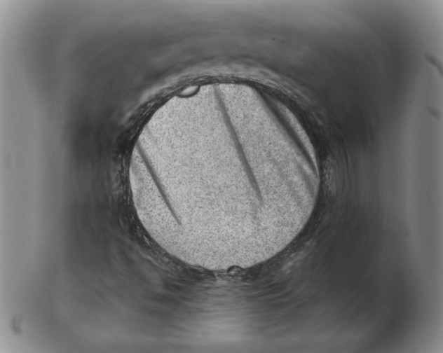 X0000102871494200809081153