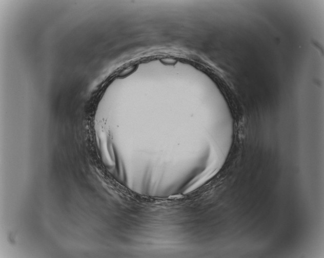 X0000102871496200809081153