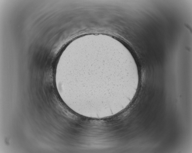 X0000102871498200809081153