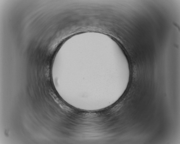 X0000102871499200809081153