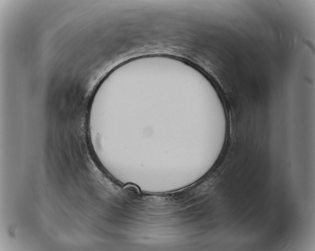 X0000102871500200809081153