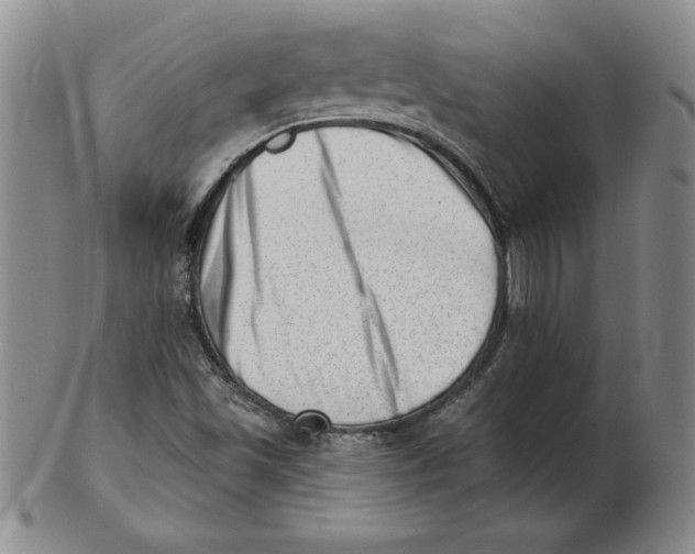 X0000102871501200809081153