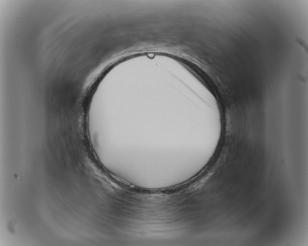 X0000102871502200809081153