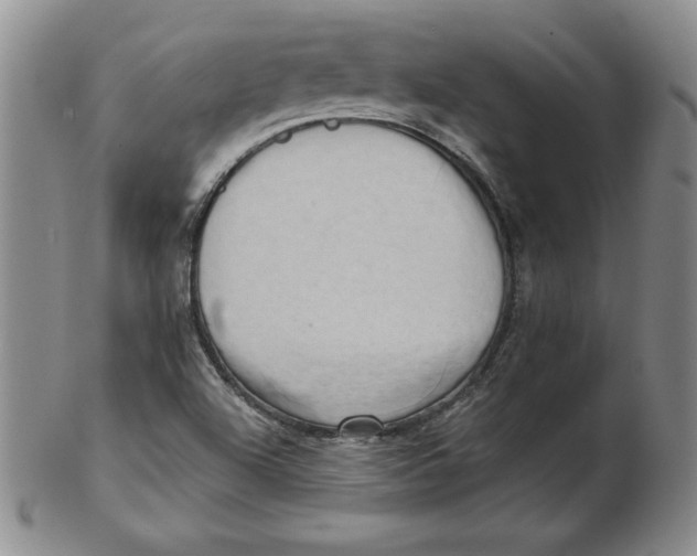 X0000102871504200809081153