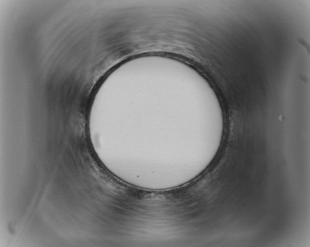 X0000102871505200809081153