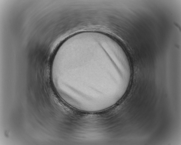 X0000102871506200809081153