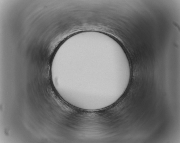 X0000102871507200809081153