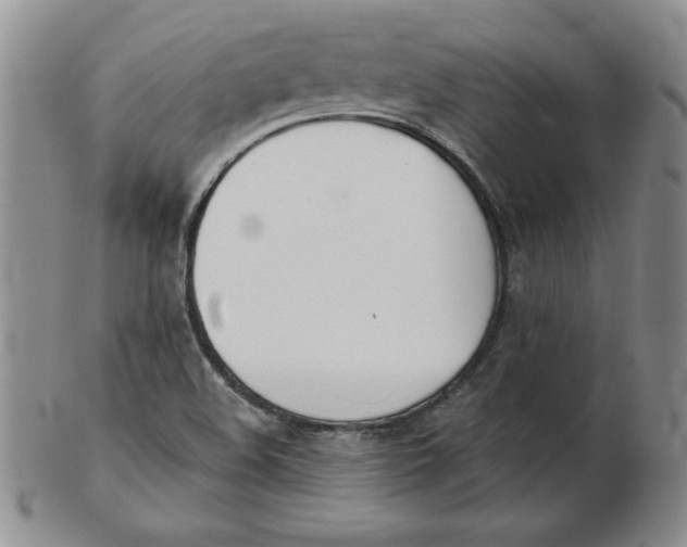 X0000102871508200809081154