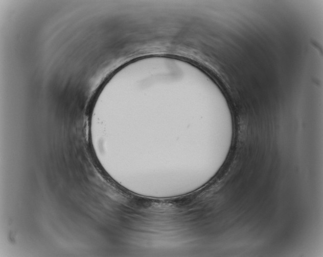 X0000102871509200809081154