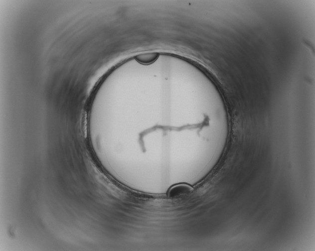 X0000102871510200809081154