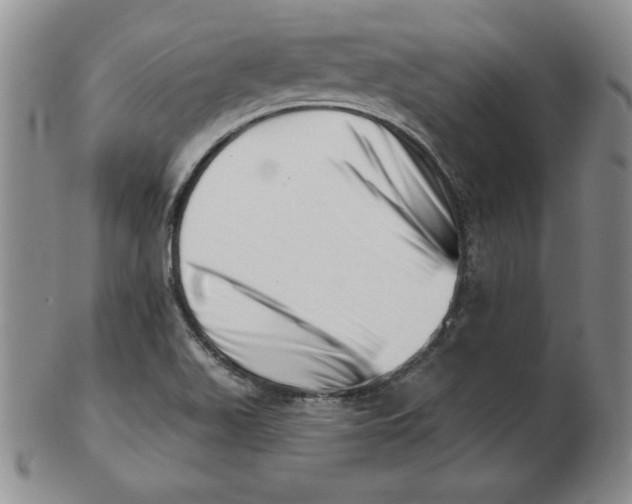 X0000102871511200809081154